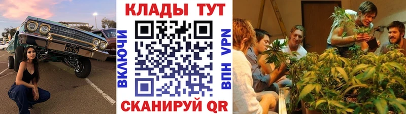 Купить СОЛЬ  Псилоцибиновые грибы  Мефедрон  ТГК  Бошки Шишки  ГАШ  Сретенск
