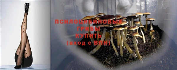 мдма Медногорск