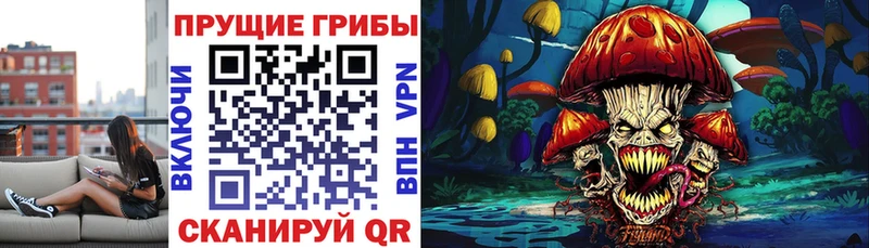 Купить где  Сретенск  Псилоцибиновые грибы мицелий 